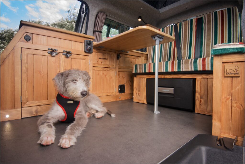 Dog sat in a Love Campers van